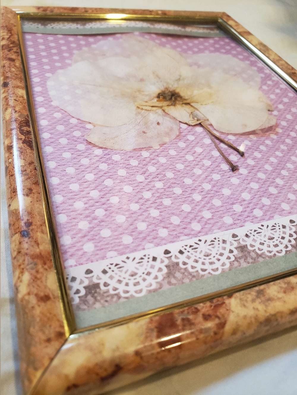 Beautiful Handmade Dried Plant / Flower Art / Wall Decor In Frame With Glass - Picture 3 of 4